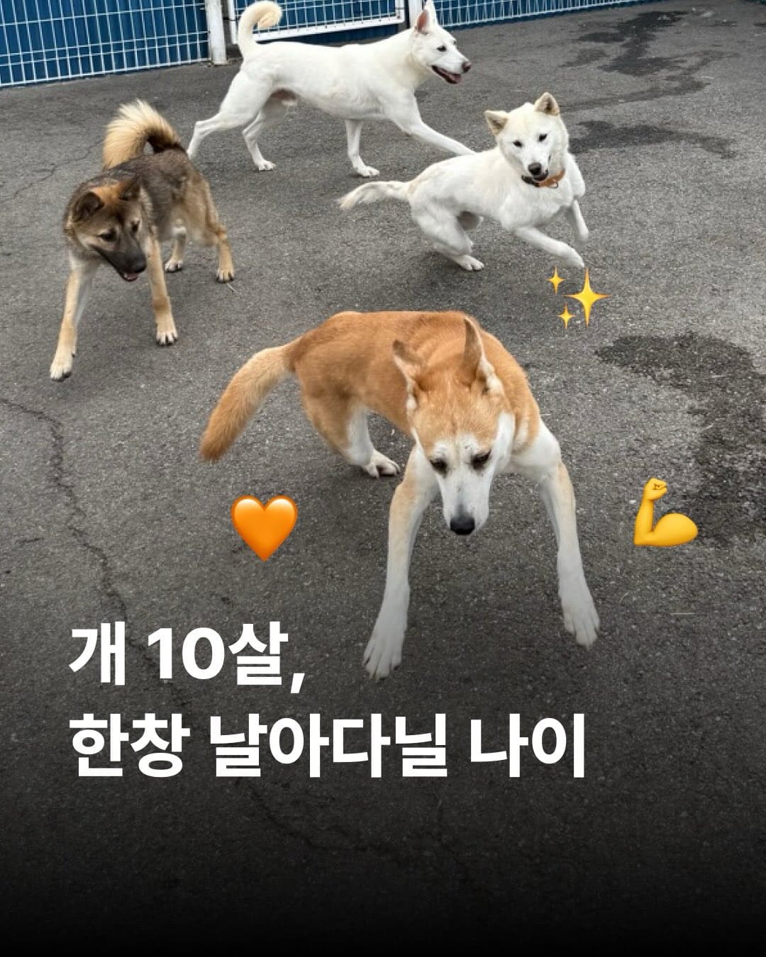 상세 사진 1
