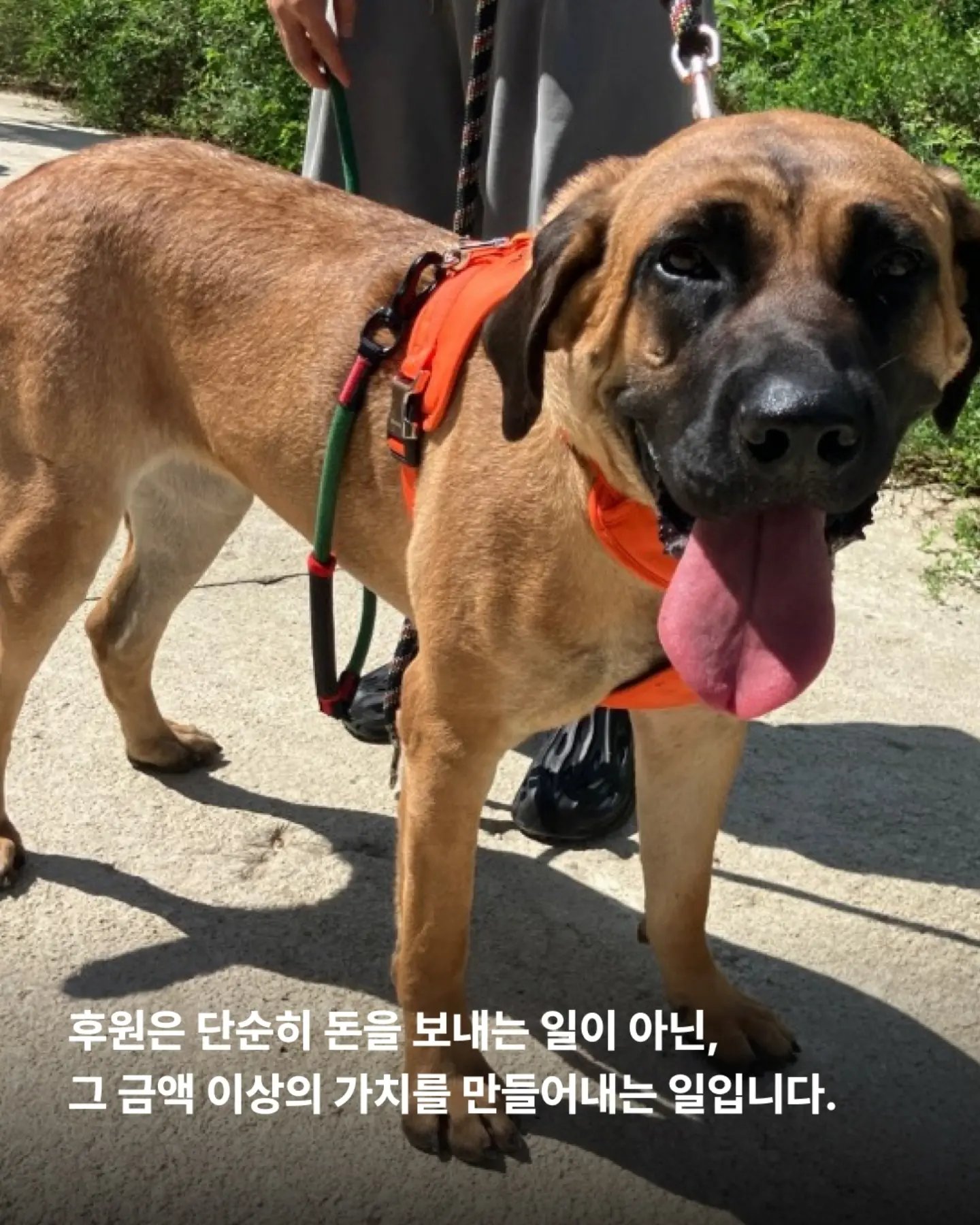 상세 사진 2