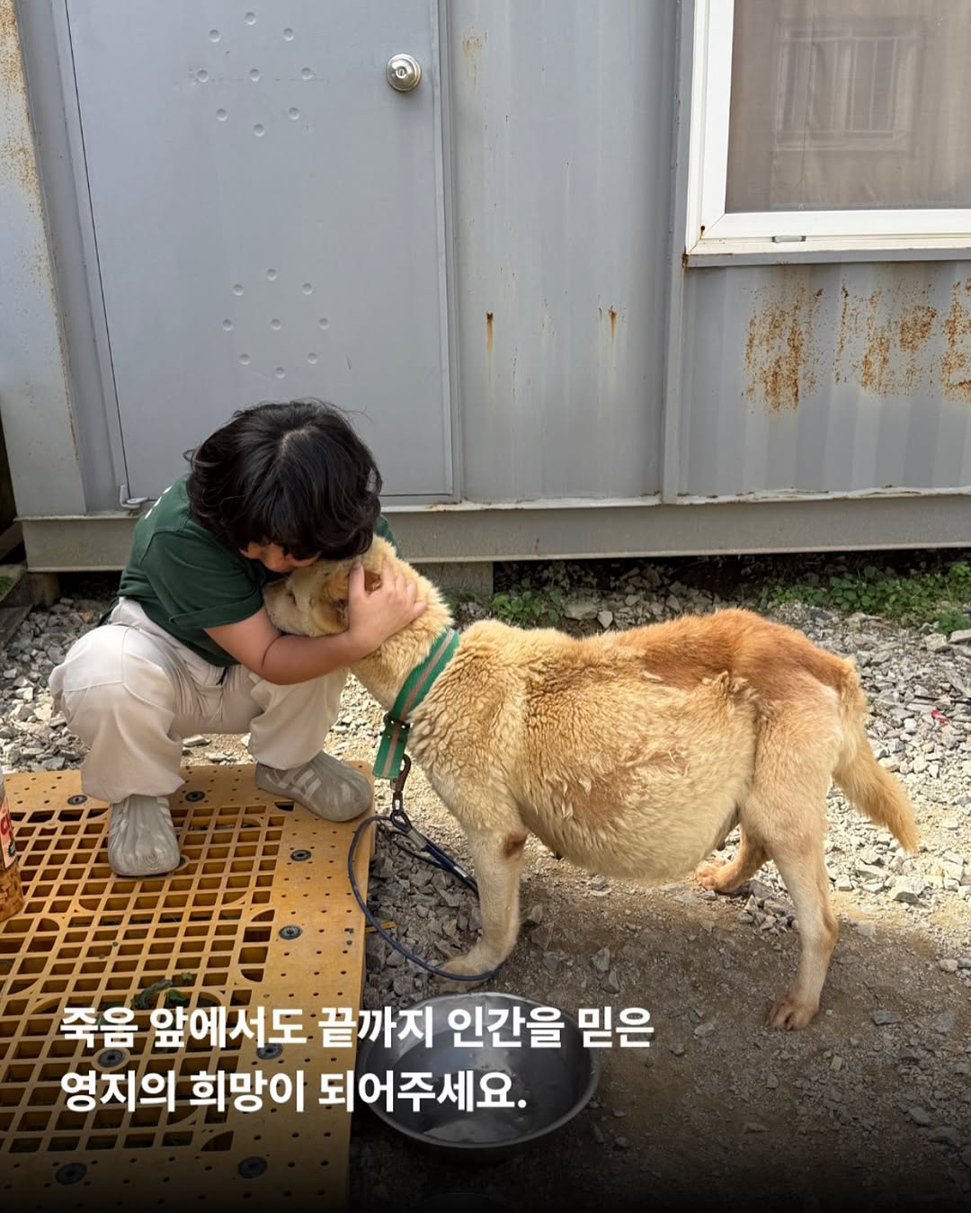 상세 사진 11