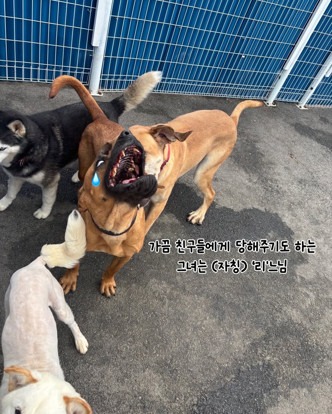 상세 사진 6