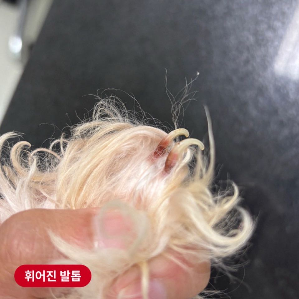 상세 사진 7