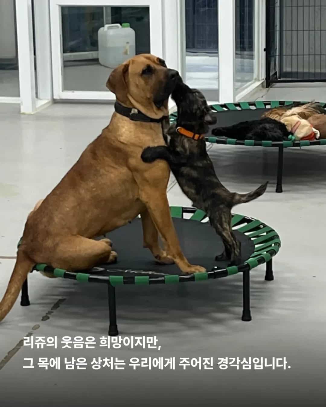 상세 사진 7