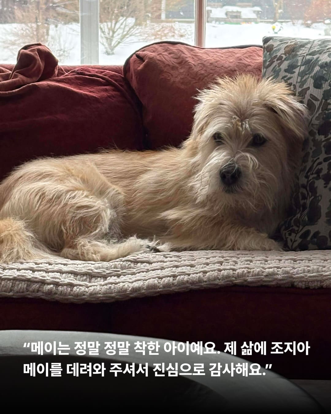 상세 사진 6