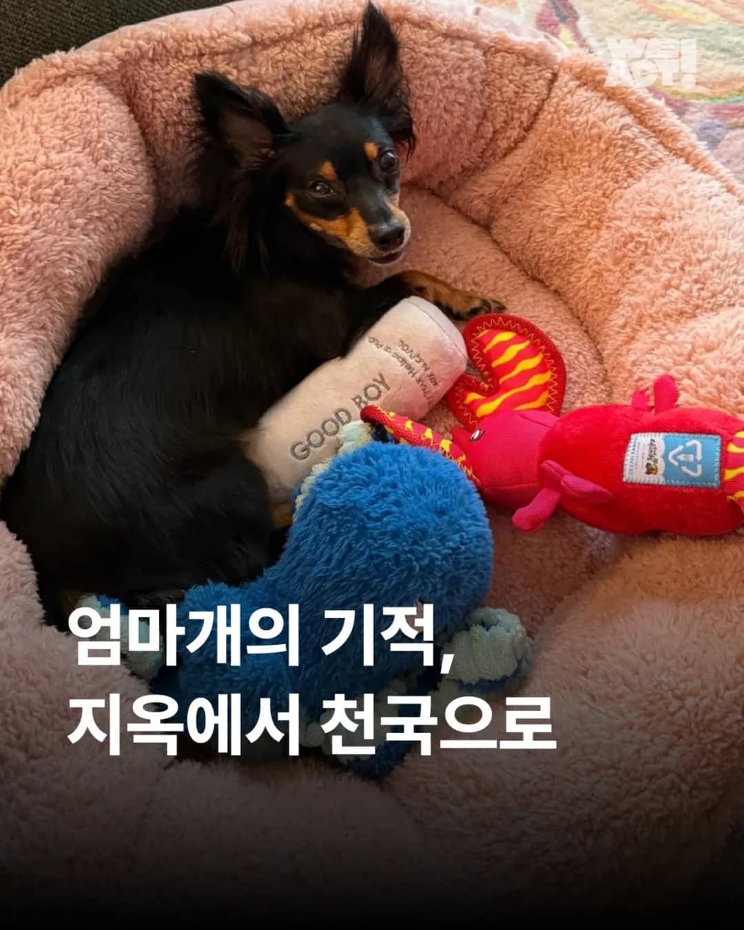 상세 사진 1