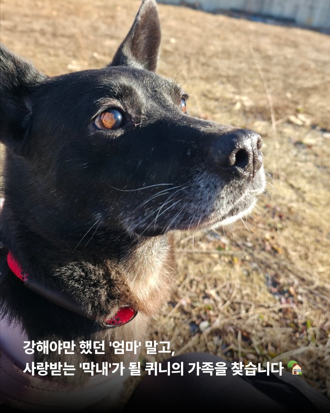 상세 사진 6