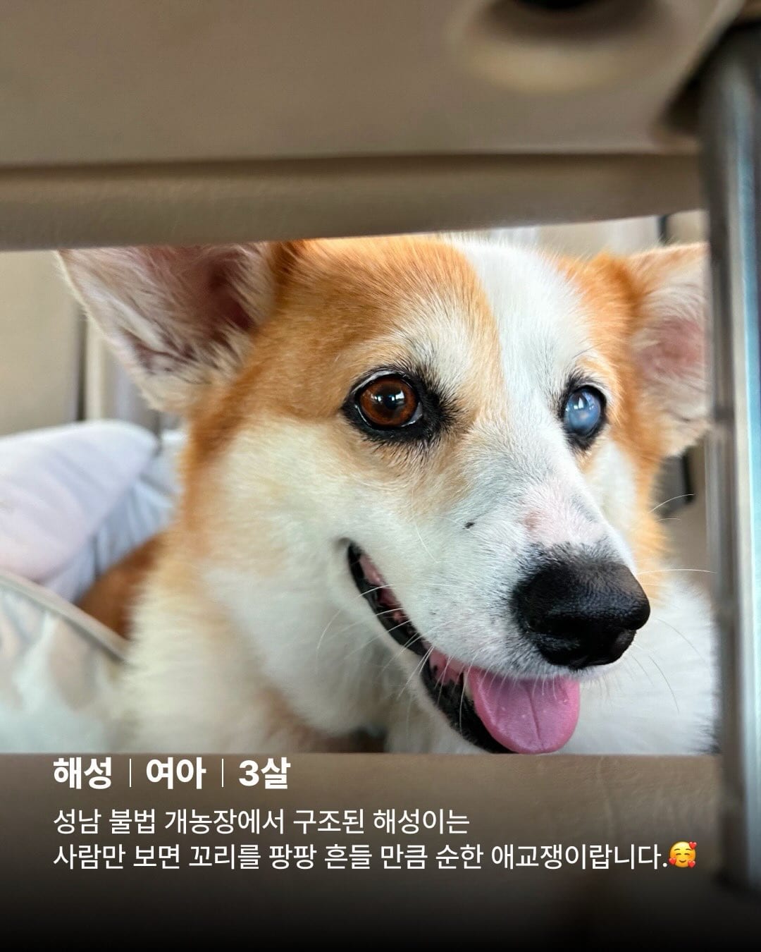 상세 사진 2