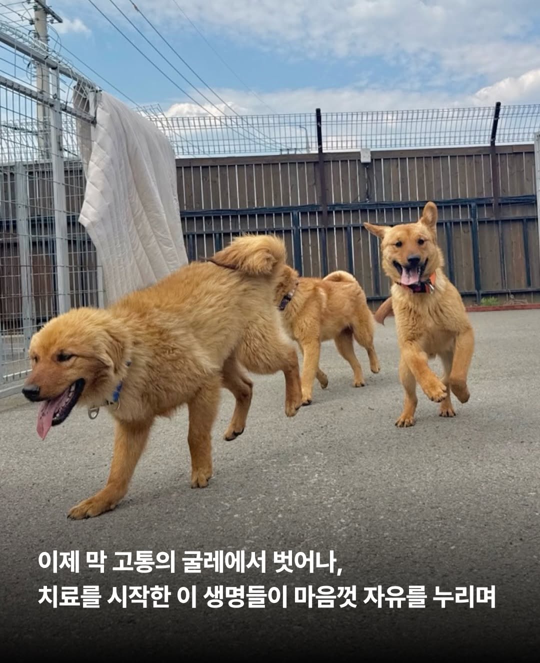 상세 사진 9