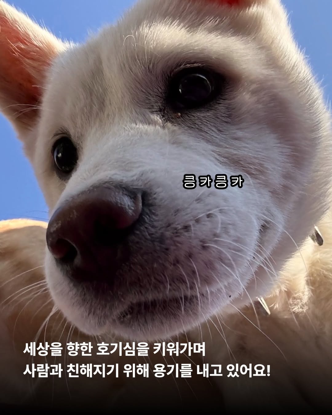 상세 사진 9