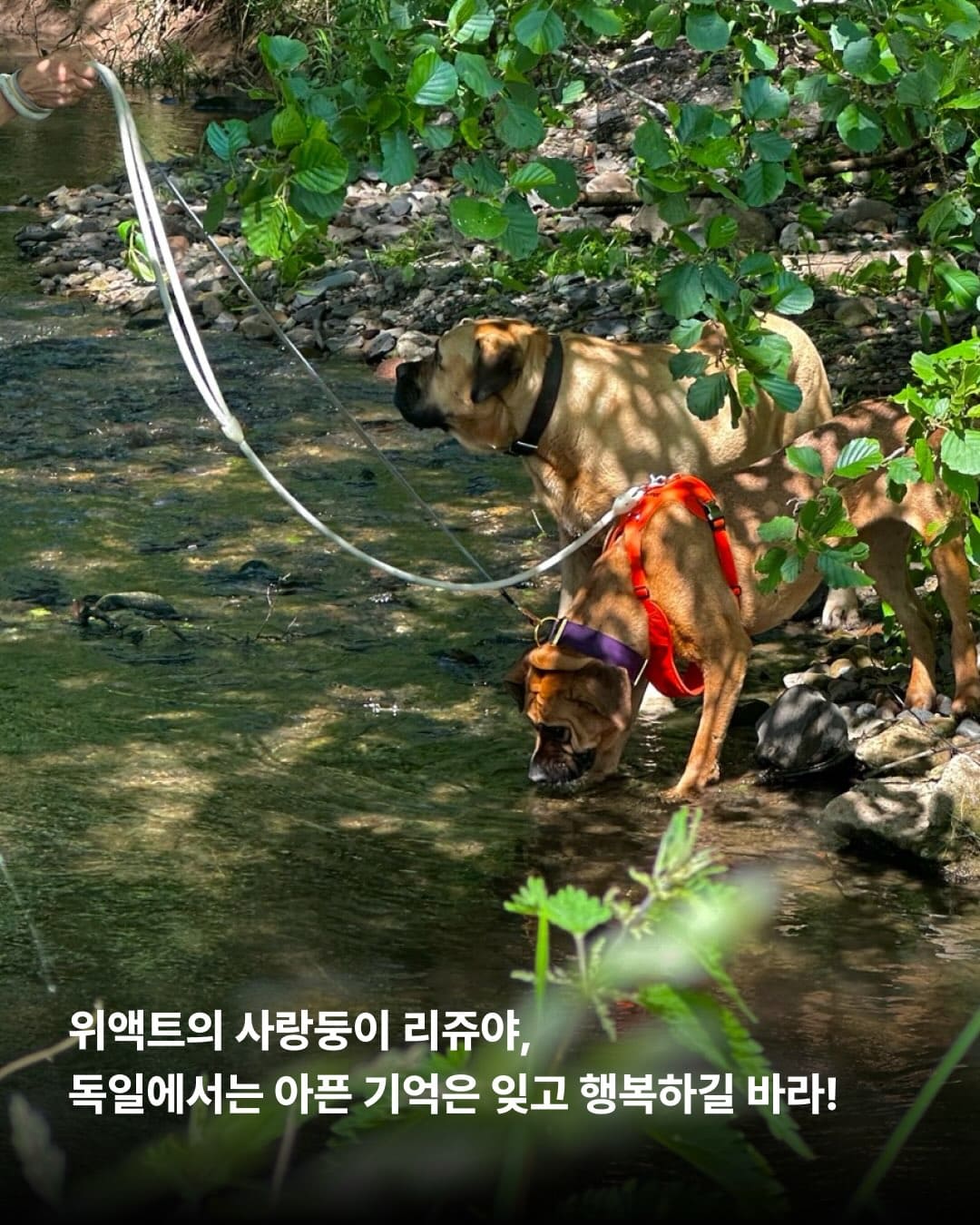 상세 사진 14