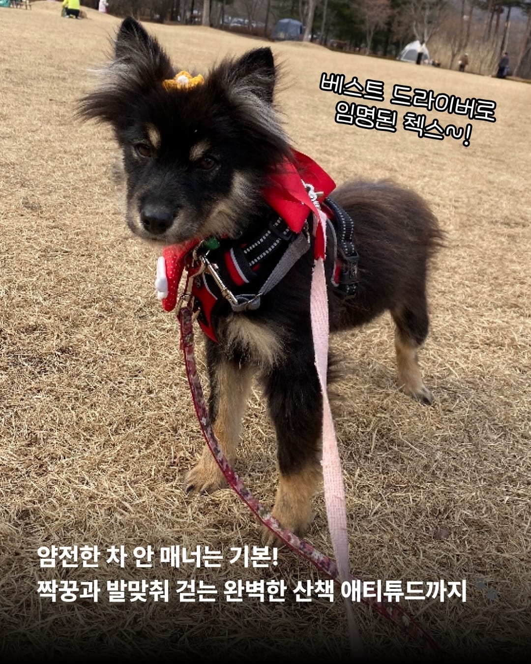 상세 사진 6