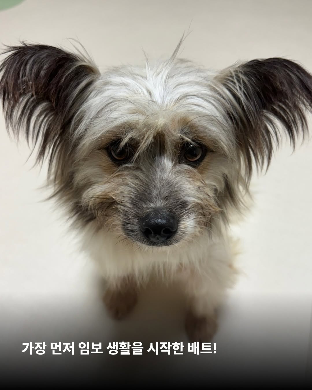 상세 사진 2