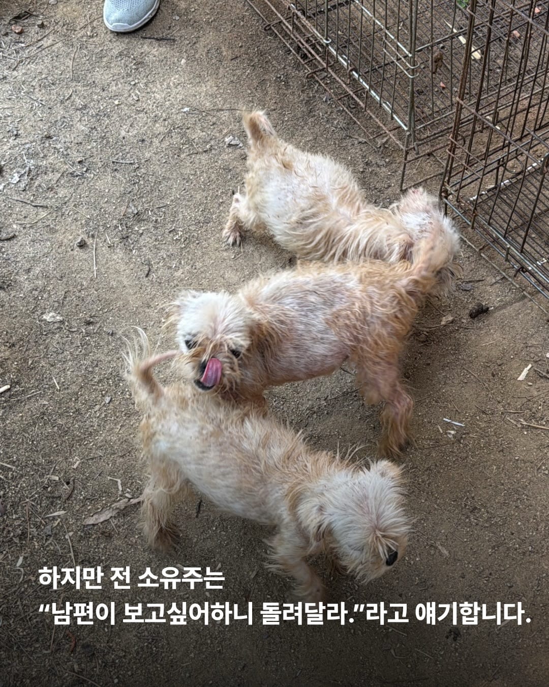 상세 사진 10