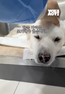 상세 사진 7
