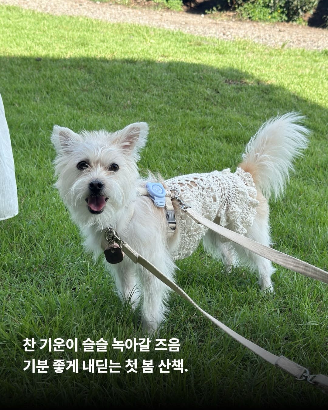 상세 사진 3