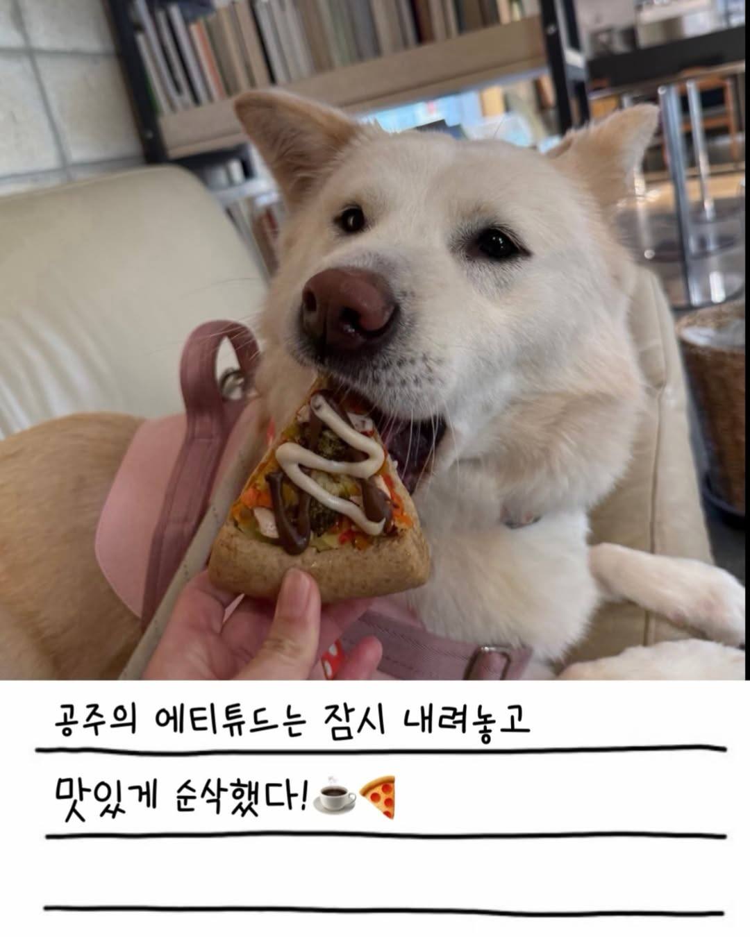 상세 사진 13
