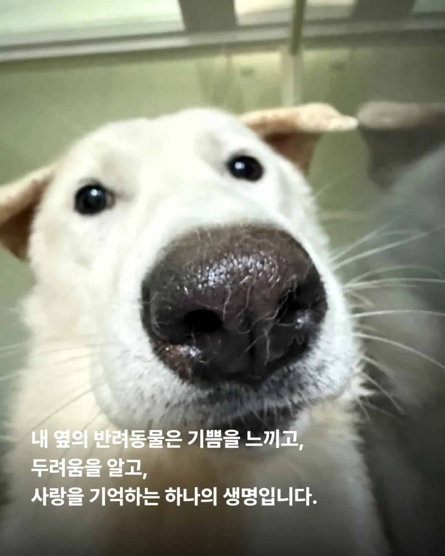 상세 사진 4