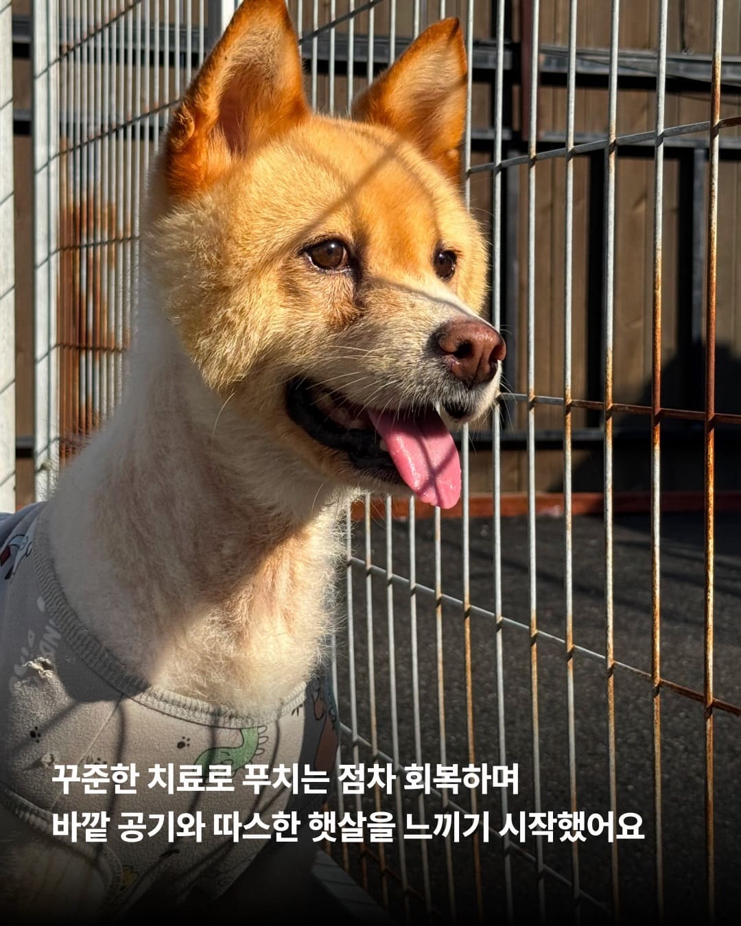 상세 사진 6