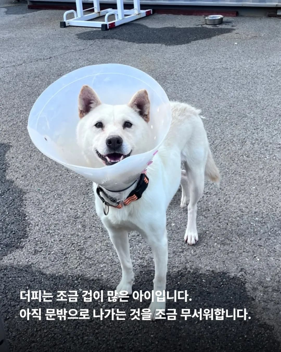상세 사진 12