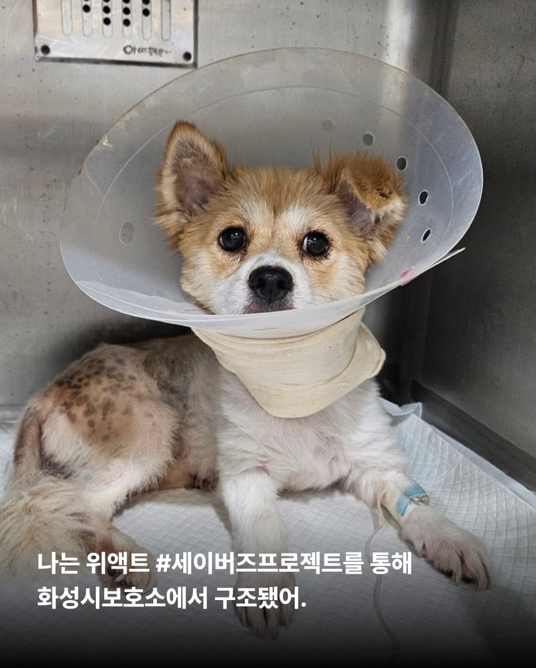 상세 사진 3