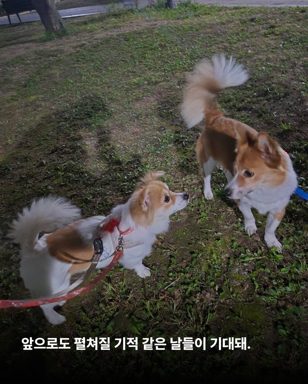 상세 사진 12