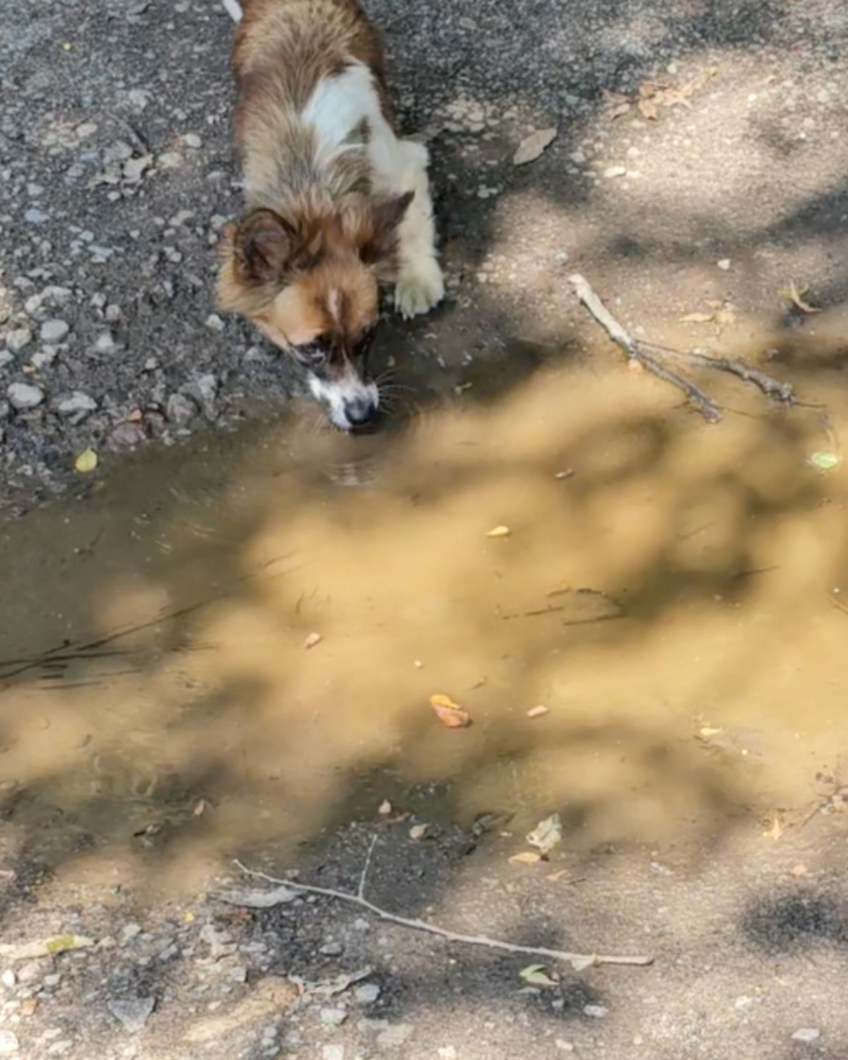 상세 사진 1