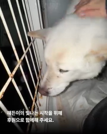 상세 사진 10