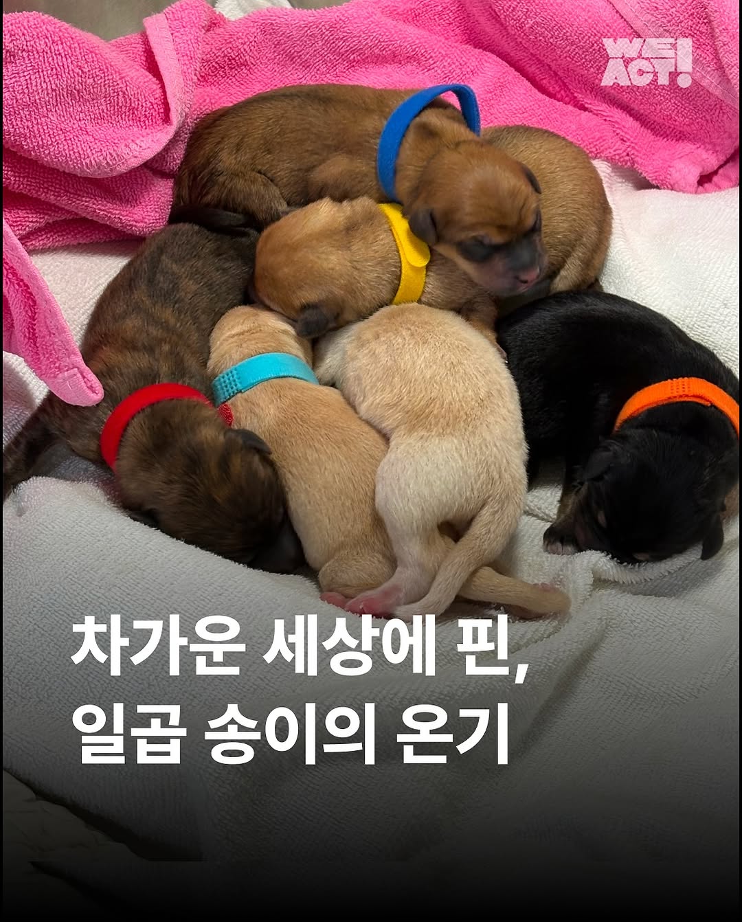 상세 사진 1