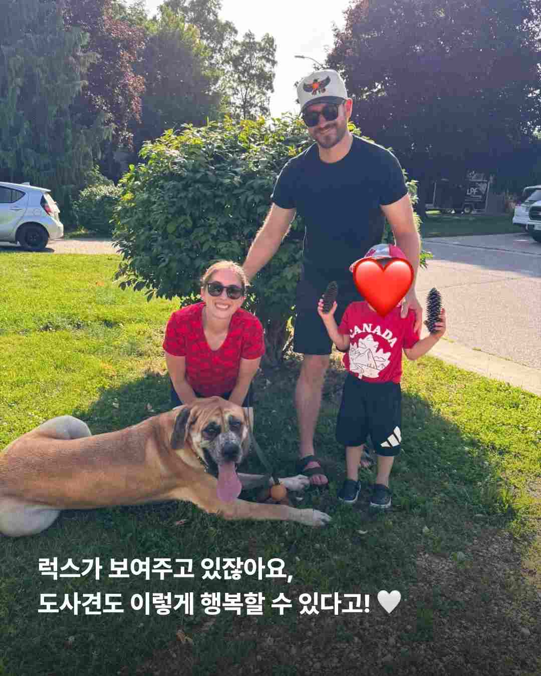 상세 사진 14