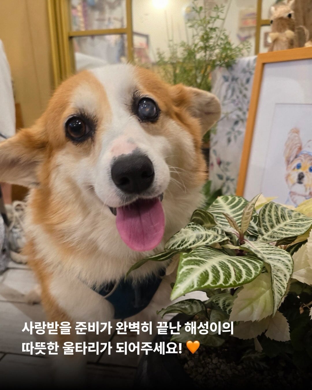 상세 사진 8