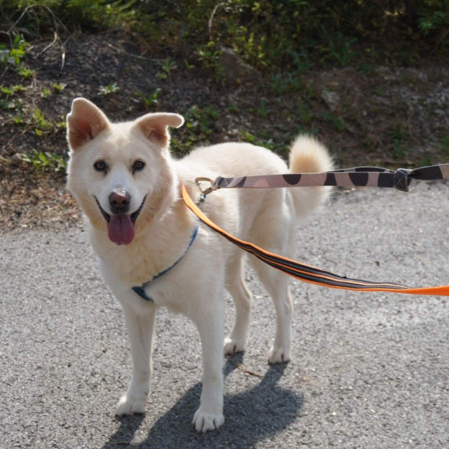 상세 사진 3