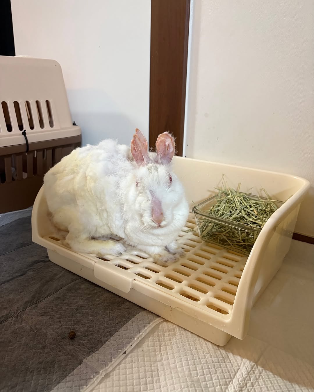 상세 사진 8