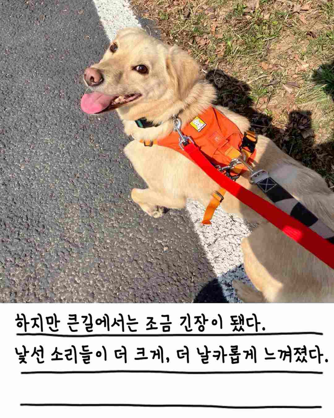 상세 사진 8