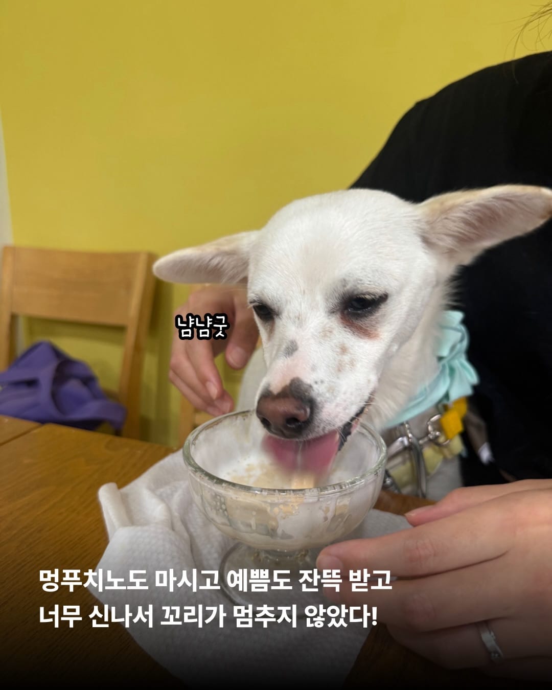 상세 사진 9