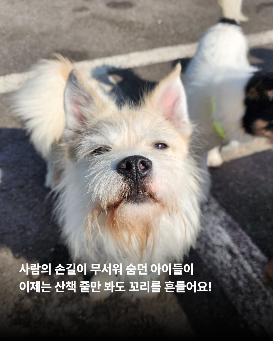 상세 사진 5