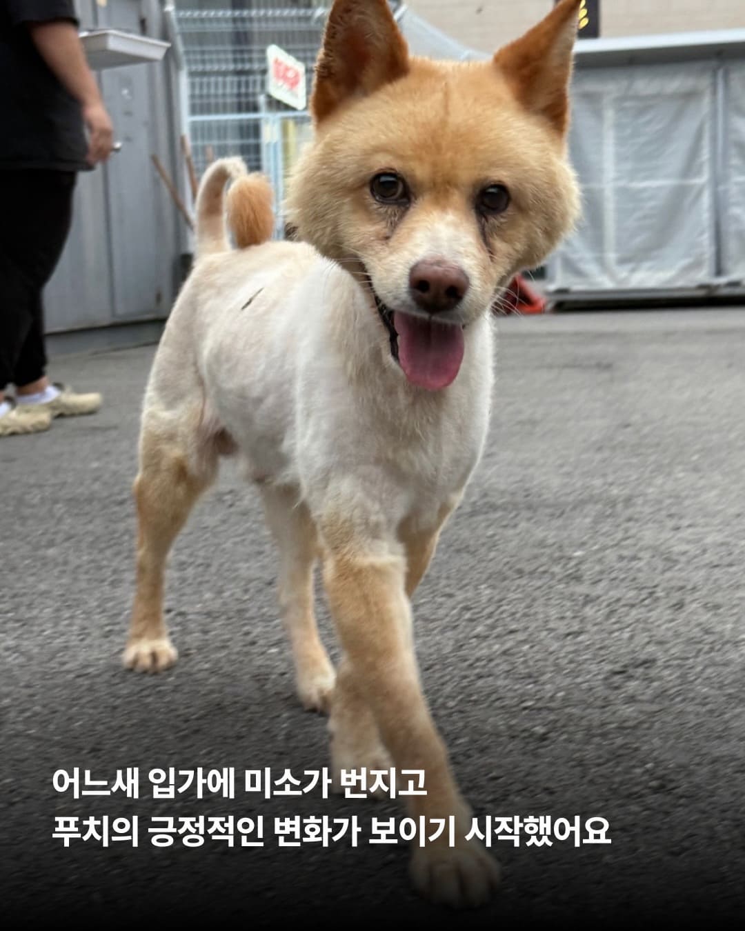 상세 사진 8