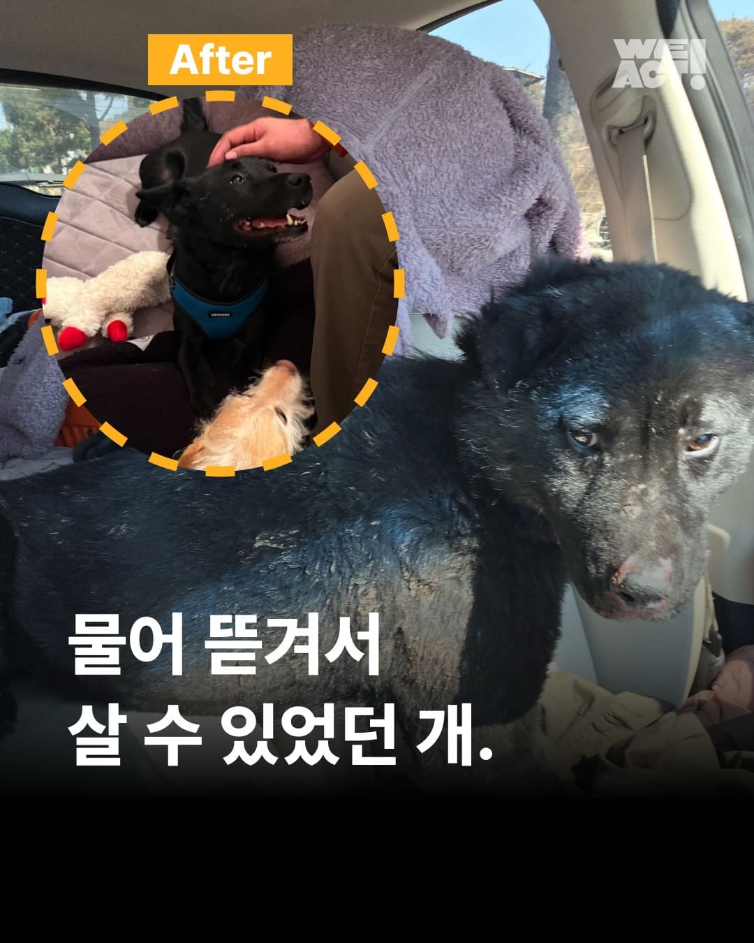 상세 사진 1