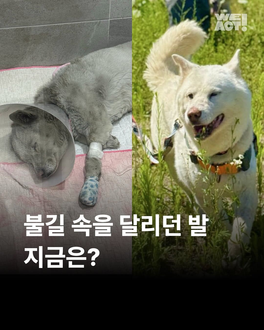 상세 사진 1