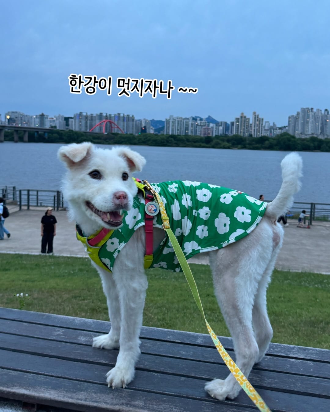 상세 사진 13