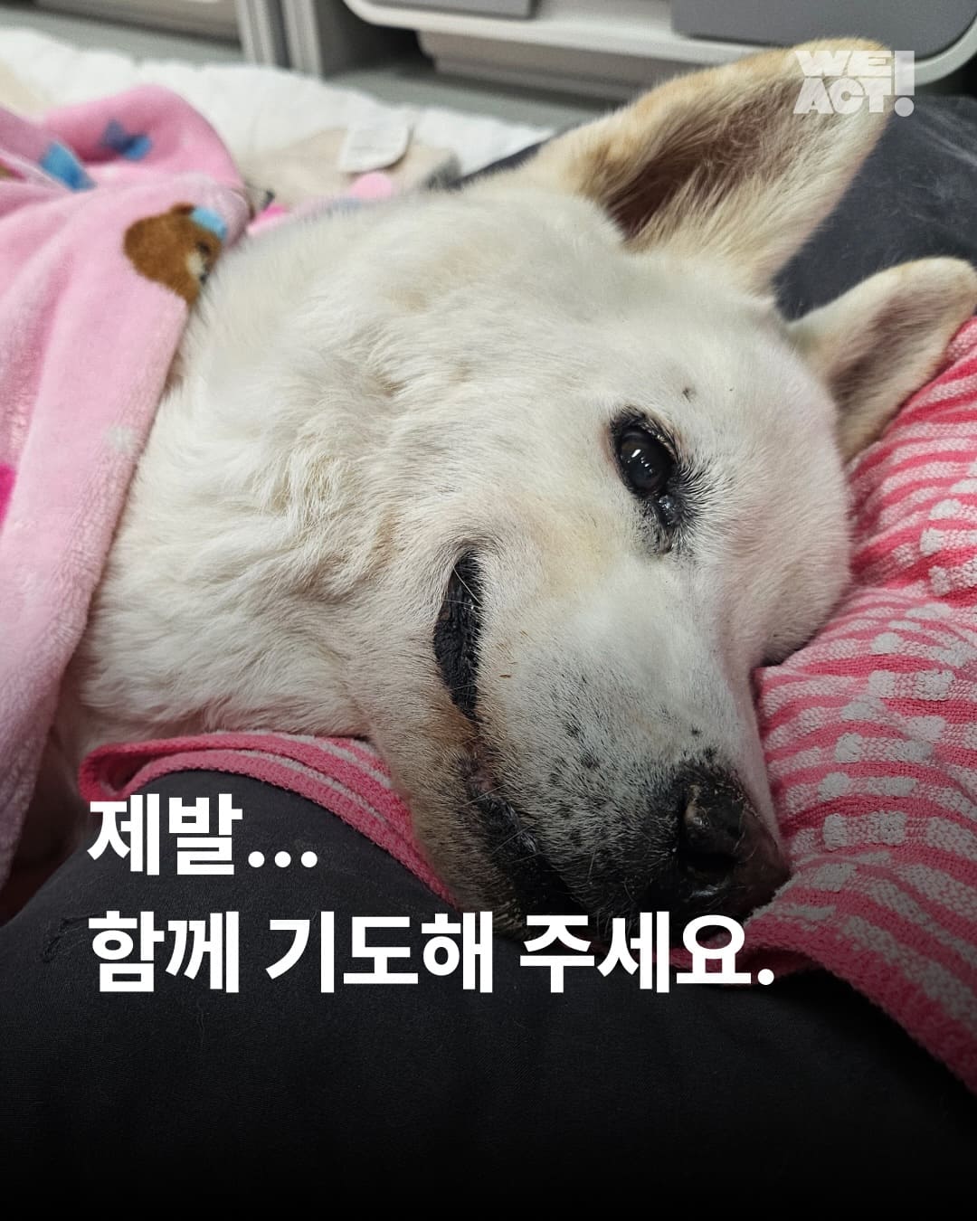 상세 사진 1