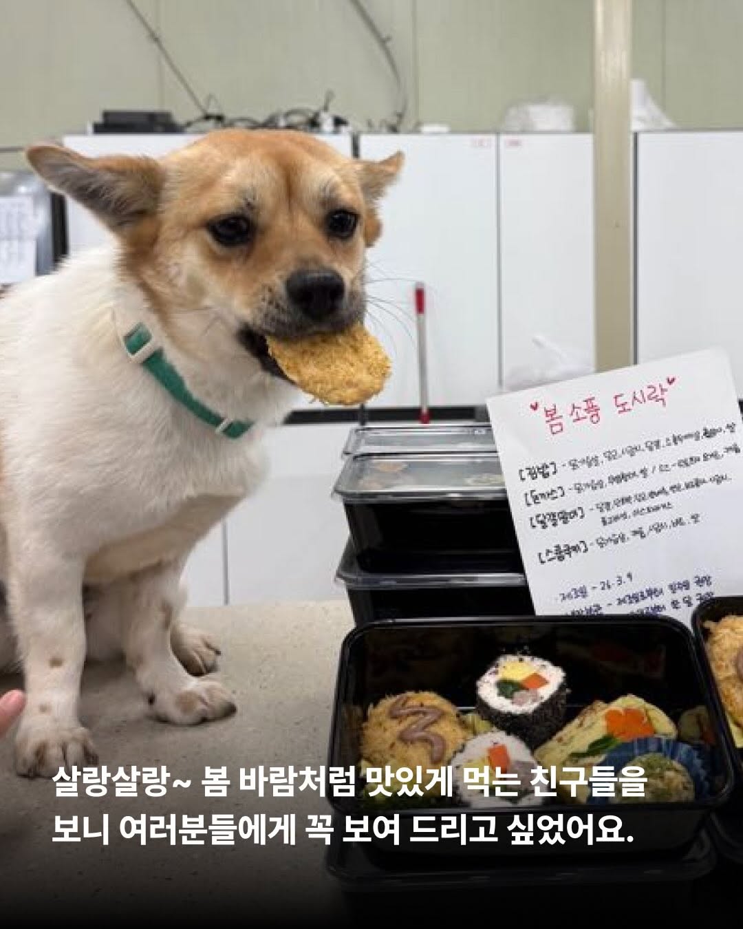 상세 사진 5