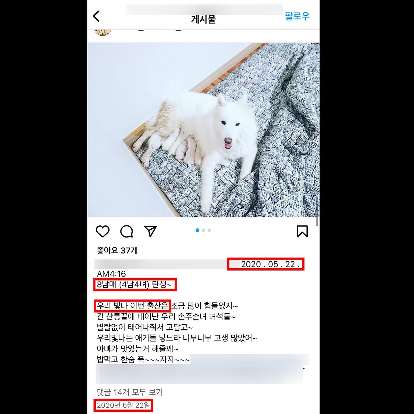 상세 사진 4