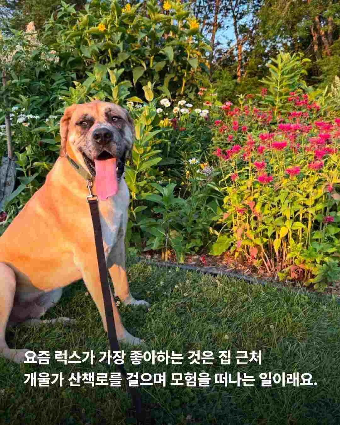 상세 사진 9