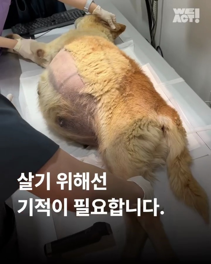 상세 사진 1