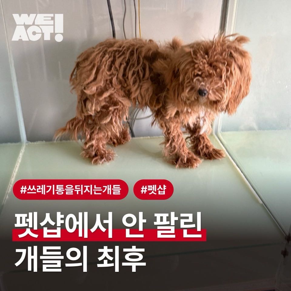 상세 사진 1