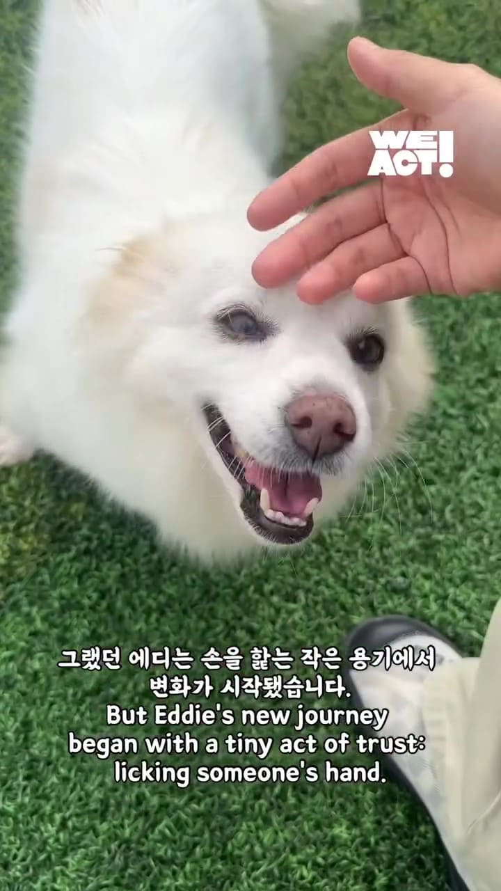 상세 사진 5
