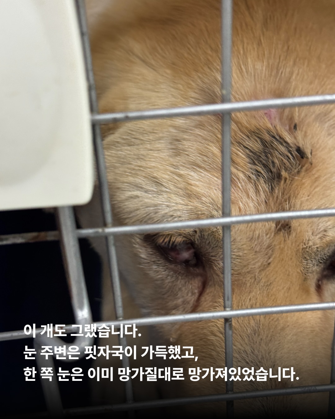 상세 사진 3