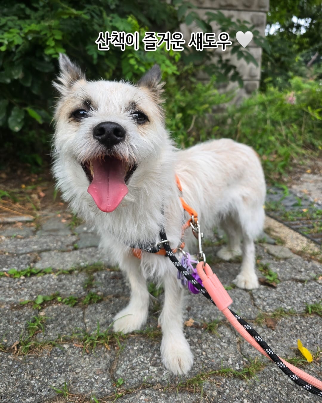 상세 사진 11