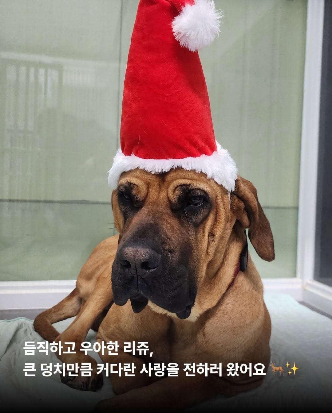 상세 사진 7