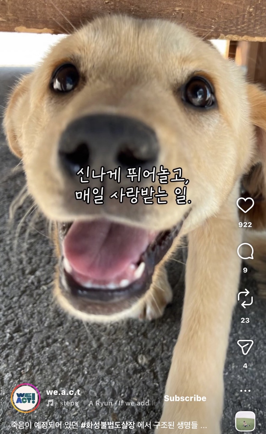 상세 사진 10