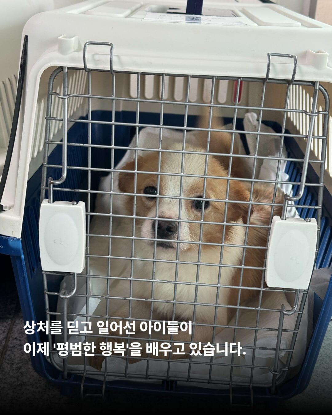 상세 사진 3